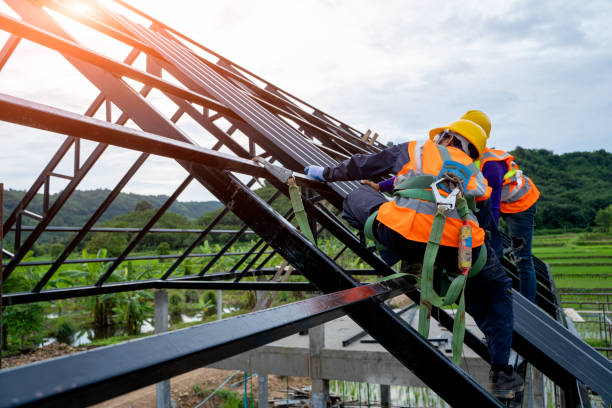 Best Metal Roofing Contractor  in Freeburg, IL