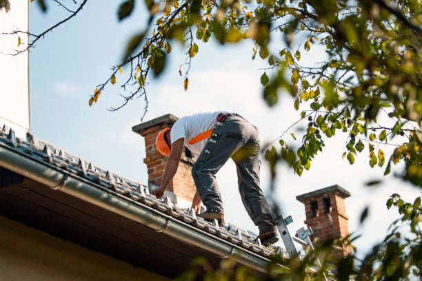 Best Roof Replacement Cost  in Freeburg, IL