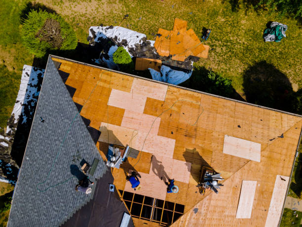 Best Residential Roofing Contractor  in Freeburg, IL