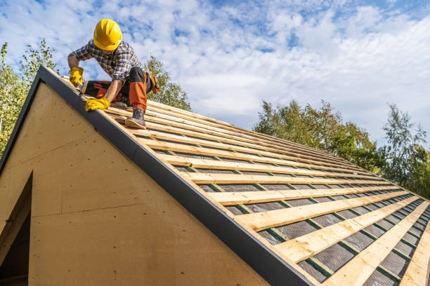 Best Roof Maintenance Services  in Freeburg, IL