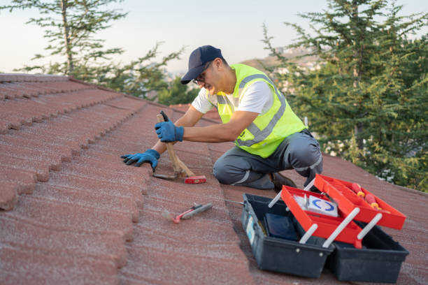 Best Affordable Roofing Company  in Freeburg, IL