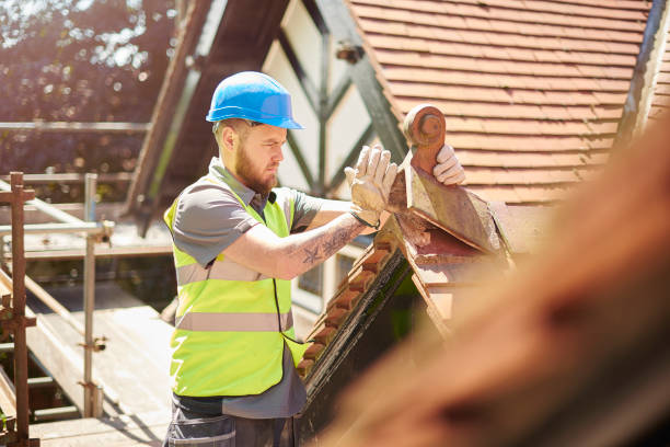 Best Storm Damage Roof Repair  in Freeburg, IL