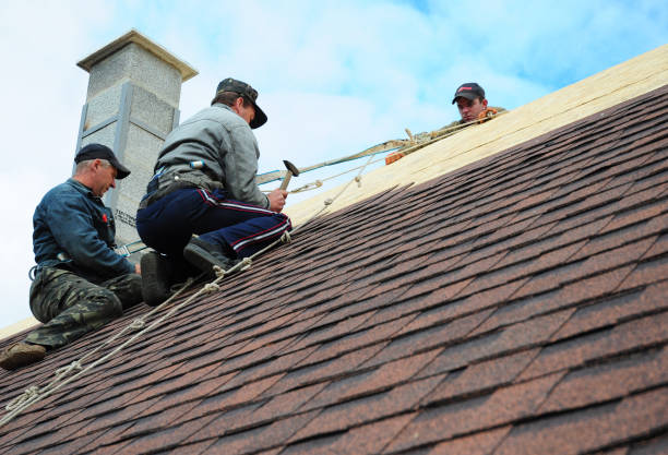 Best Commercial Roof Installation  in Freeburg, IL