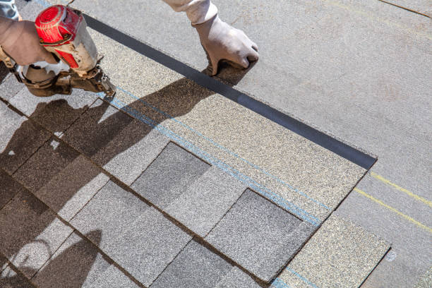 Best Roofing Contractor Near Me  in Freeburg, IL