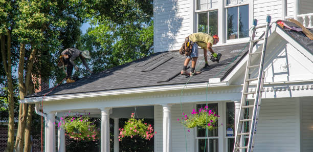 Best Roof Waterproofing Services  in Freeburg, IL