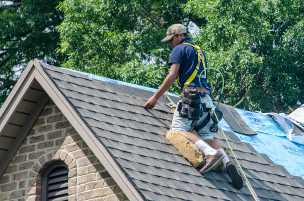 Best Roof Leak Repair  in Freeburg, IL