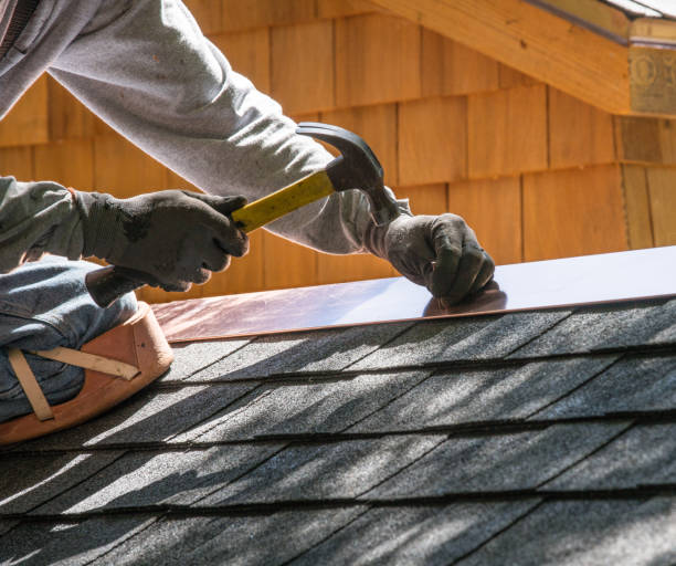 Best Roof Restoration Services  in Freeburg, IL
